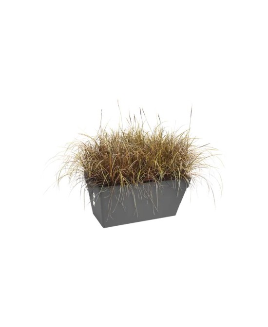 Jardinera con Ruedas 70cm Antracita | Movilidad y Estilo para Tu Jardín | Endanea Garden