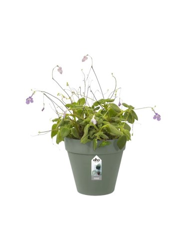 MACETERO DOBLE 15CM VERDE