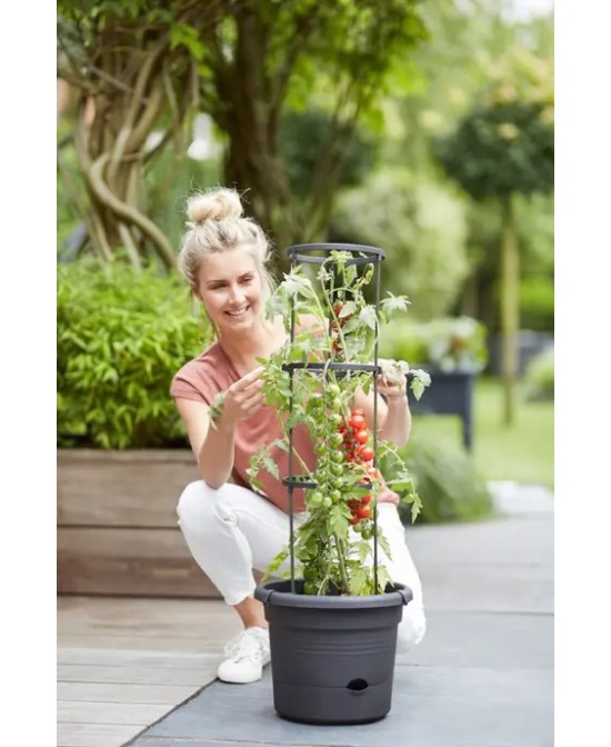 Maceta GB Tomates 33 cm Negra para Cultivo Interior y Exterior | Endanea Garden

