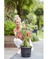 Maceta GB Tomates 33 cm Negra para Cultivo Interior y Exterior | Endanea Garden

