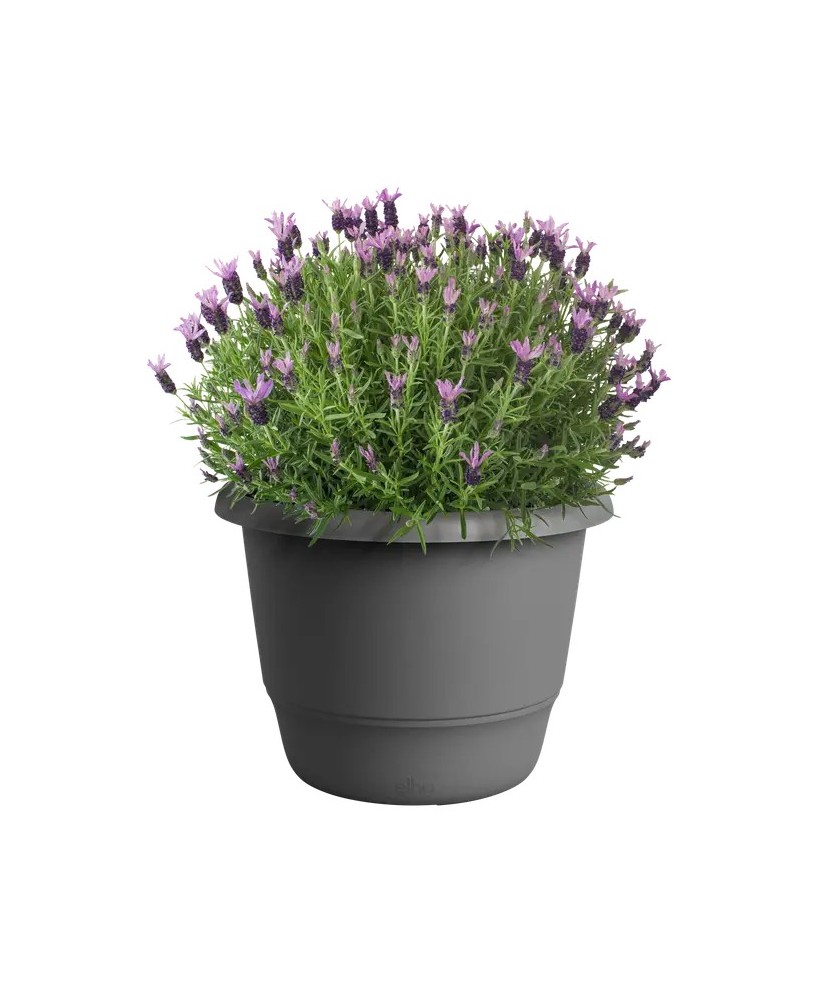 Maceta Redonda Amiga Antracita 30 cm | Elegante y Funcional | Endanea Garden

