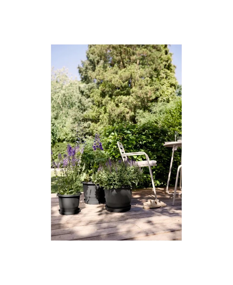 Maceta Redonda Amiga Antracita 30 cm | Elegante y Funcional | Endanea Garden

