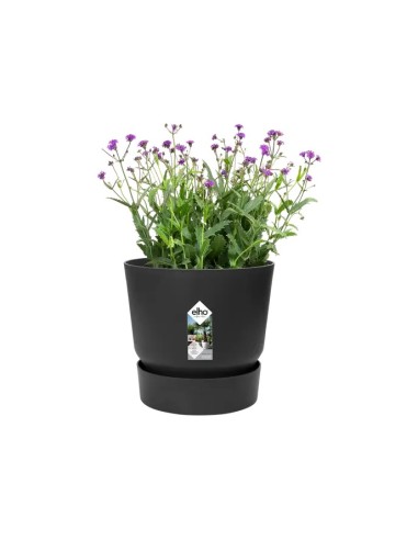Maceta Redonda Greenville Negro 14 cm | Elegante y Resistente | Endanea Garden

