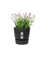 Maceta Redonda Greenville Negro 14 cm | Elegante y Resistente | Endanea Garden

