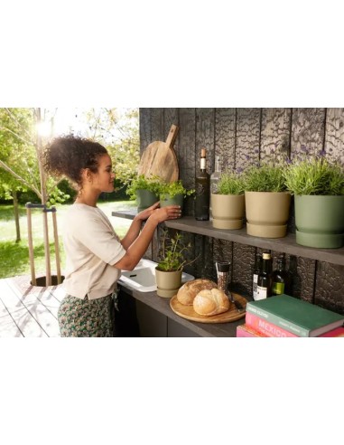 Maceta Redonda Greenville Arena Dorada 14 cm | Elegante y Resistente | Endanea Garden

