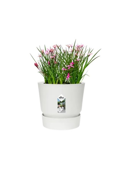 Maceta Greenville Redonda 16cm Blanca | Maceta Elegante y Resistente para Plantas | Endanea Garden