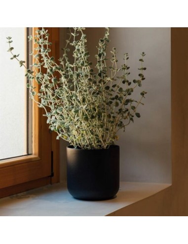 Maceta Sita Antracita 18.5x18.5 cm | Durabilidad y Estilo para Interior y Exterior

