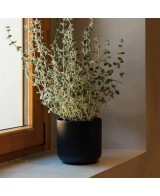 Maceta Sita Antracita 18.5x18.5 cm | Durabilidad y Estilo para Interior y Exterior

