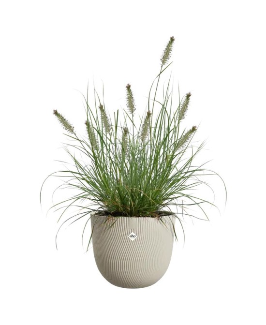 MACETA SEREH 30CM BEIGE