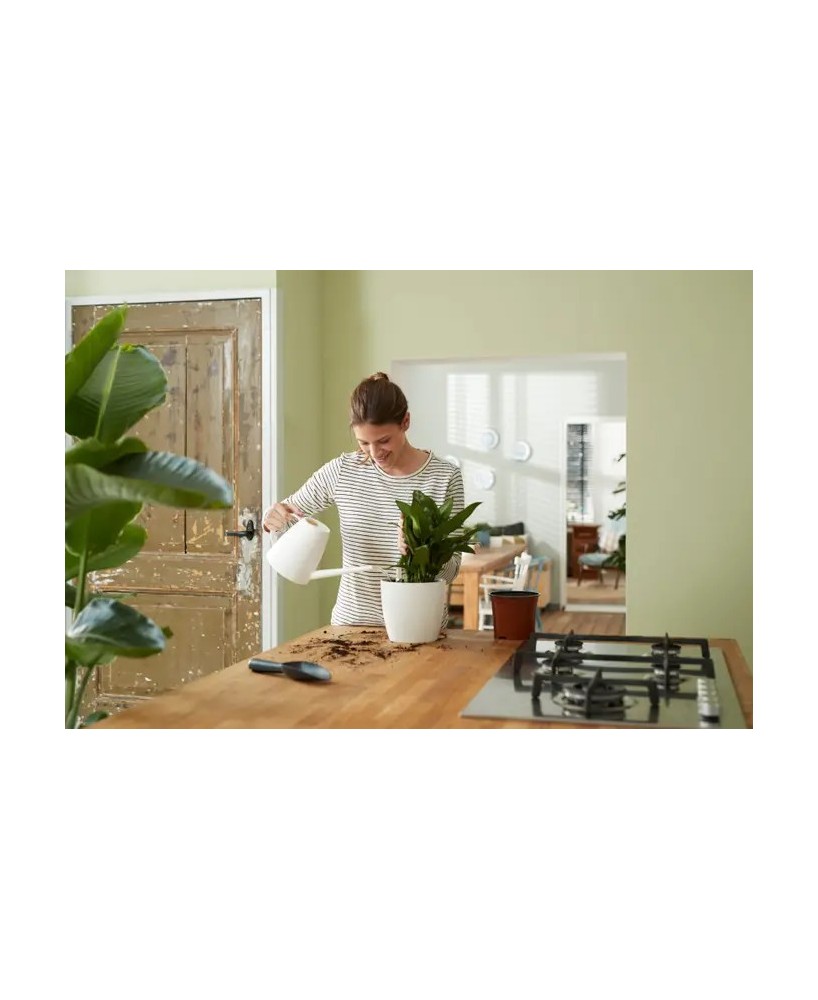 Hidrojardinera Insert 33cm Negro  Autorriego y Diseño Moderno para tu Jardín y Hogar

