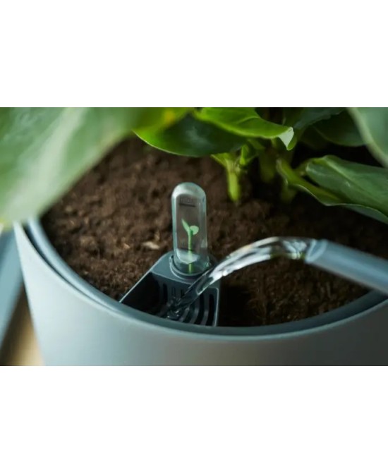 Hidrojardinera Insert 24cm Negro  Autorriego y Diseño Moderno para Jardín y Hogar

