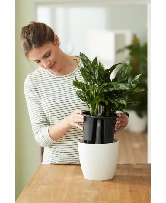 Hidrojardinera Insert 24cm Negro  Autorriego y Diseño Moderno para Jardín y Hogar

