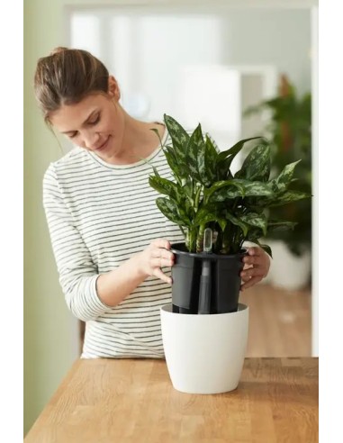 Hidrojardinera Insert 24cm Negro  Autorriego y Diseño Moderno para Jardín y Hogar

