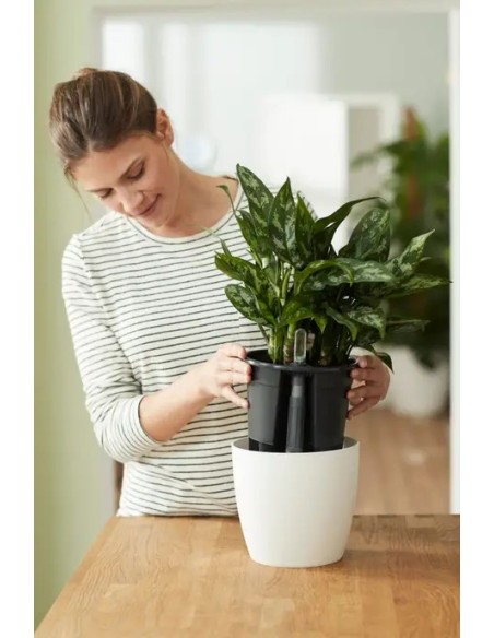 Hidrojardinera Insert 24cm Negro  Autorriego y Diseño Moderno para Jardín y Hogar

