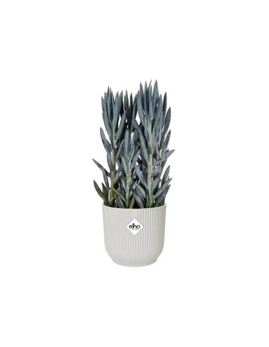 Maceta Vibes Fold Round Mini 30 cm Blanco  Elegancia Moderna para Plantas | Endanea Garden

