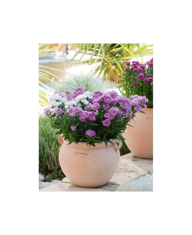 BOL CON ASAS 33X32CM