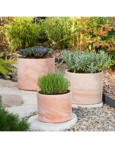 Maceta Cilindro 17x13 cm  Elegante y Minimalista para Plantas | Endanea Garden

