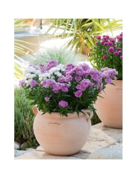 Bol con Asas 24x22 cm  Macetero Decorativo y Multifuncional para Interior y Exterior | Endanea Garden Bol con Asas 24x22 cm  Macetero Decorativo y Multifuncional para Interior y Exterior | Endanea Garden