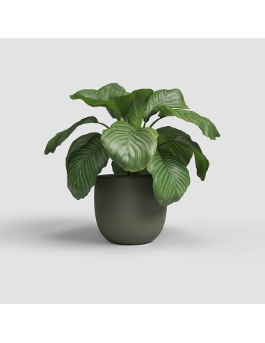 Maceta Aura 29 MA Verde Oliva | Resistente y Elegante para Plantas Medianas

