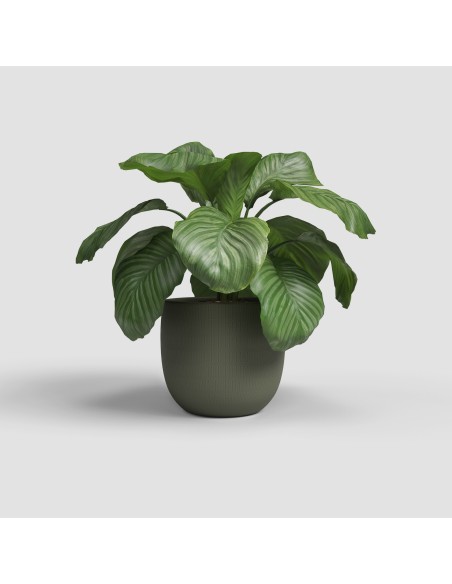 Maceta Aura 29 MA Verde Oliva | Resistente y Elegante para Plantas Medianas

