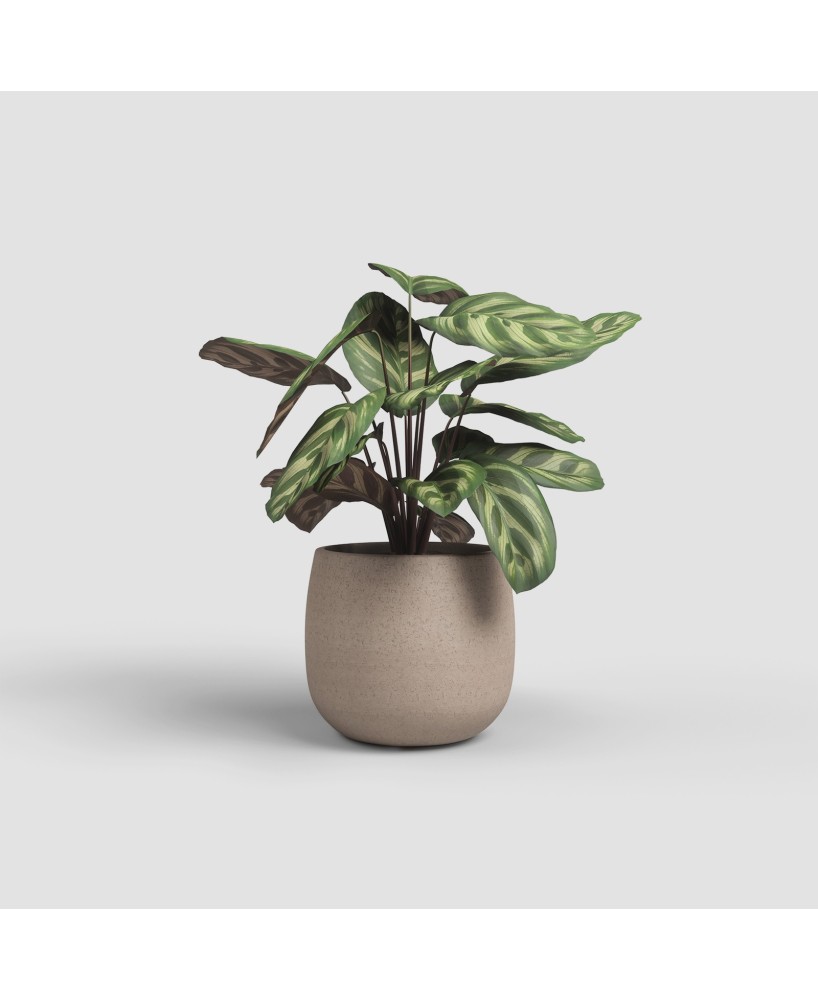 Maceta Hemera 25cm Topo  Diseño Contemporáneo y Resistencia para Interior y Exterior

