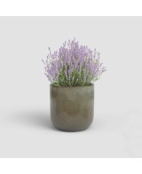 Maceta Jupiter 29cm Verde Gris  Moderna, resistente y con drenaje eficiente

