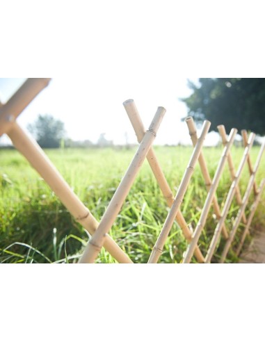 Celosía de Bambú Natural | Privacidad y Estilo Tropical para Jardines y Terrazas

