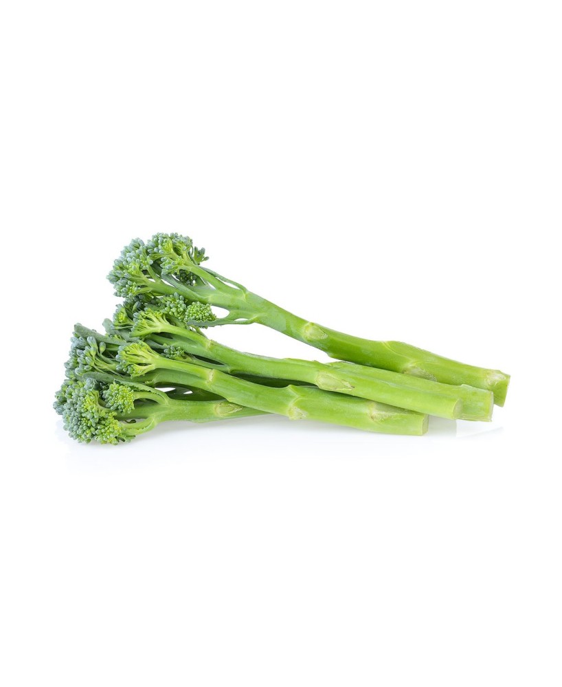 BROCOLI TIERNO PACK 12