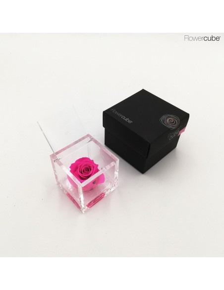 Flowercube Rosa 6x6 Packaging Fucsia Regalo Floral Elegante y Duradero