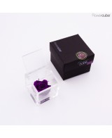 FLOWER CUBE ROSA 6X6+PACKAGING PURPURA