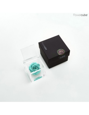 FLOWER CUBE SPECIAL ED ROSA 6X6+PACKAGING TURQUESA