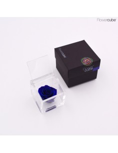 Flowercube Rosa 6x6 Packaging Azul Regalo Floral Elegante y Duradero