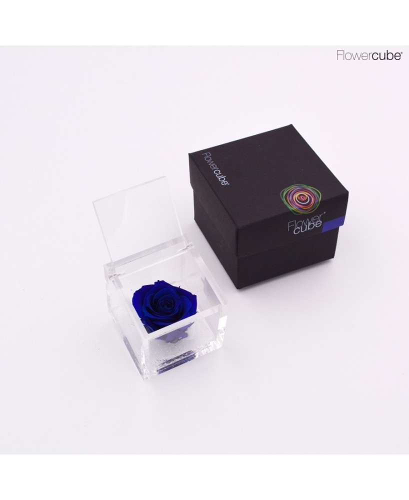 Flowercube Rosa 6x6 Packaging Azul Regalo Floral Elegante y Duradero
