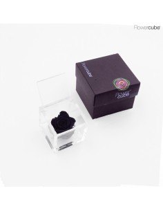 Flowercube Rosa 6x6 Packaging Negro Regalo Elegante Flores Preservadas