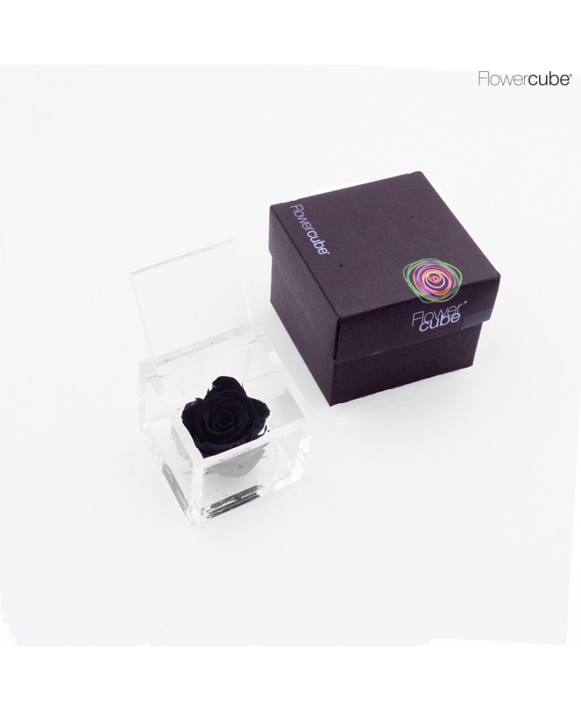 Flowercube Rosa 6x6 Packaging Negro Regalo Elegante Flores Preservadas