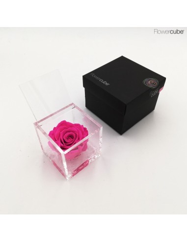 Flowercube Rosa 8x8 Packaging Fucsia Regalo Floral Elegante y Duradero
