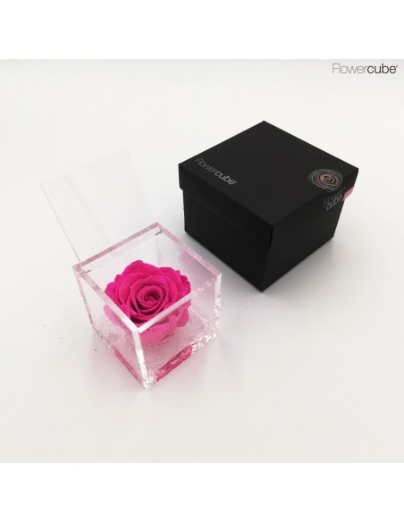 Flowercube Rosa 8x8 Packaging Fucsia Regalo Floral Elegante y Duradero