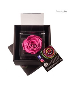FLOWER CUBE SPECIAL ED ROSA 8X8+PACKAGING ARANDANO