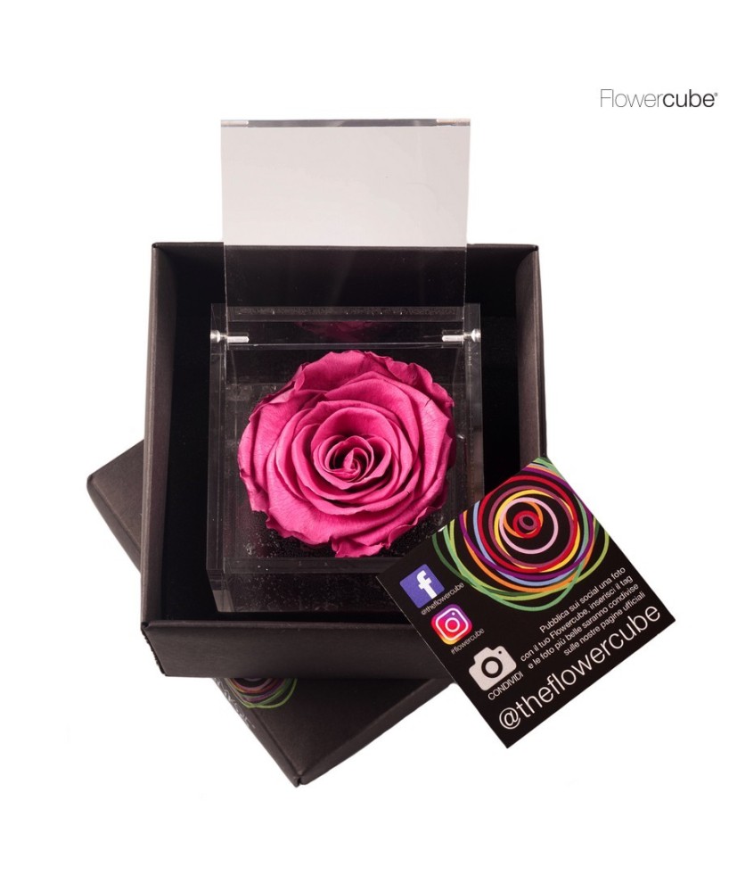 FLOWER CUBE SPECIAL ED ROSA 8X8+PACKAGING ARANDANO