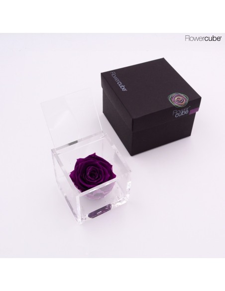 FLOWER CUBE ROSA 8X8+PACKAGING PURPURA
