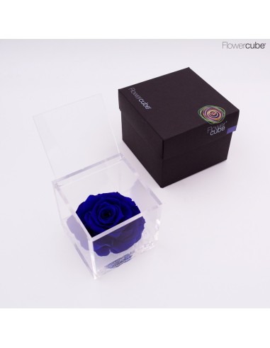 Flowercube Rosa 10x10 Packaging Azul Regalo Floral Elegante y Duradero