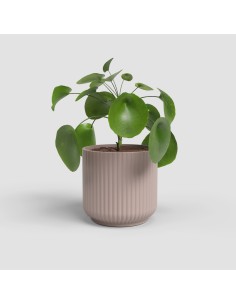 MJACETA LUNA 12 MA ROSA CLARO 2