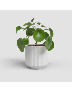 MACETA LUNA 14CM  MA BLANCO 2