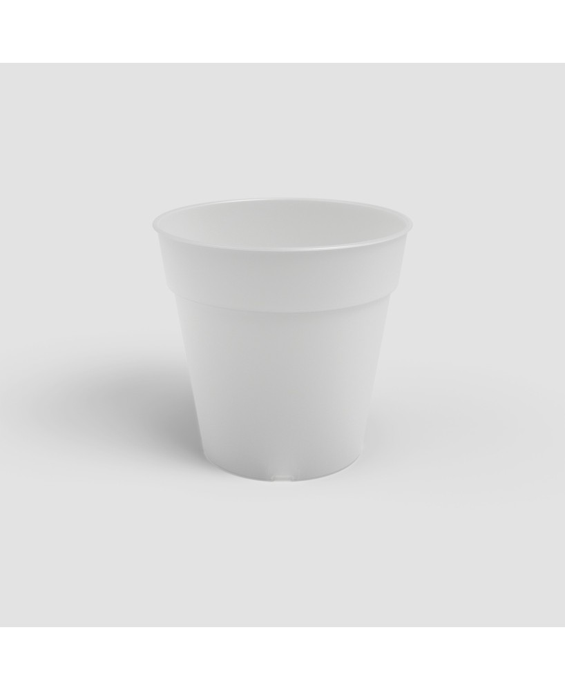 Maceta Madagascar 17 cm Transparente para Producción y Trasplante de Orquídeas