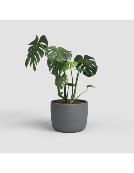 Maceta Urania Pot 4L de Cerámica Hecha a Mano | Diseño Artesanal de Portugal

