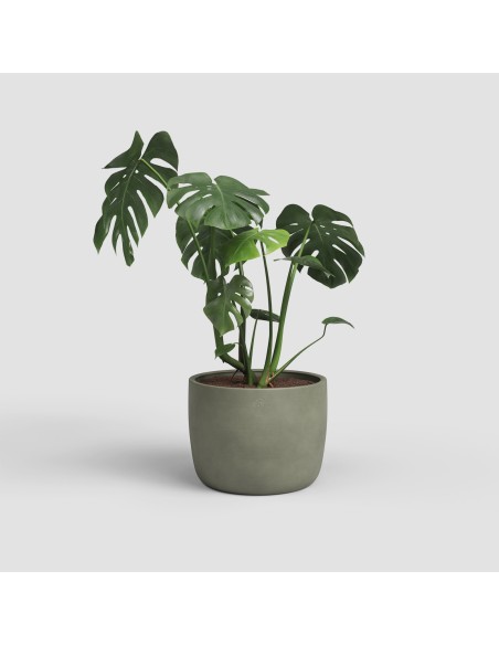 MACETA URANIA 22 MA VERDE OLIVA