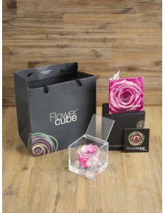 FLOWER CUBE SPECIAL ED ROSA 6X6+PACKAGING PASTEL ROSA 2