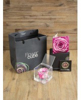 FLOWER CUBE SPECIAL ED ROSA 6X6+PACKAGING PASTEL ROSA