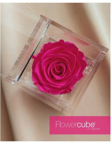 Flowercube Rosa 6x6 Packaging Fucsia Regalo Floral Elegante y Duradero