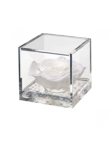 FLOWER CUBE ROSA 6X6 +PACKAGING BLANCO